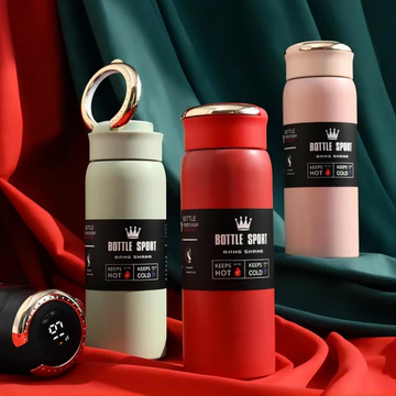 Stainless Steel Led Temperature Display Water Bottle 500ml