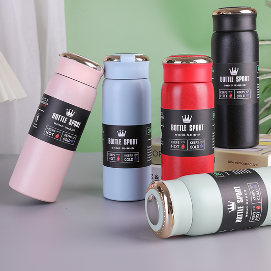 Stainless Steel Led Temperature Display Water Bottle  500ml